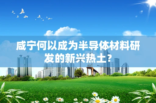 咸宁何以成为半导体材料研发的新兴热土？