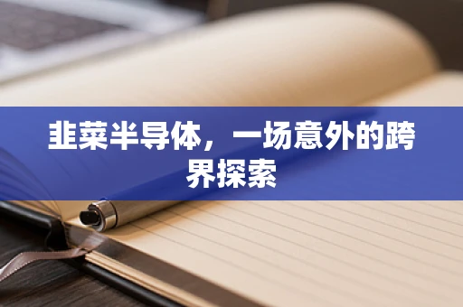 韭菜半导体，一场意外的跨界探索