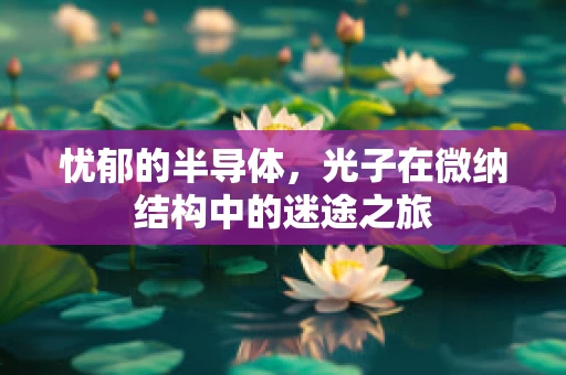 忧郁的半导体，光子在微纳结构中的迷途之旅
