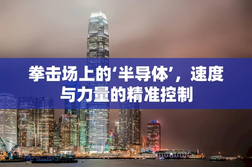 拳击场上的‘半导体’，速度与力量的精准控制