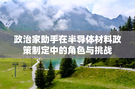 政治家助手在半导体材料政策制定中的角色与挑战