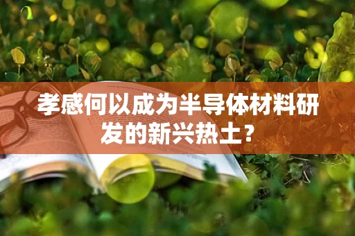 孝感何以成为半导体材料研发的新兴热土？