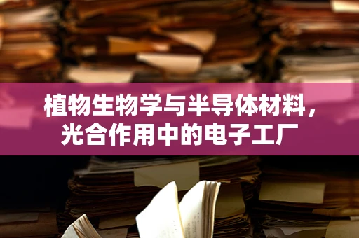 植物生物学与半导体材料，光合作用中的电子工厂