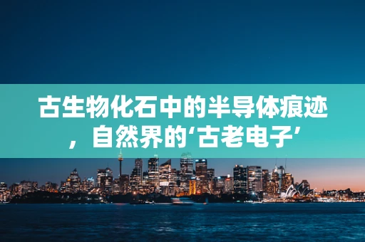 古生物化石中的半导体痕迹，自然界的‘古老电子’