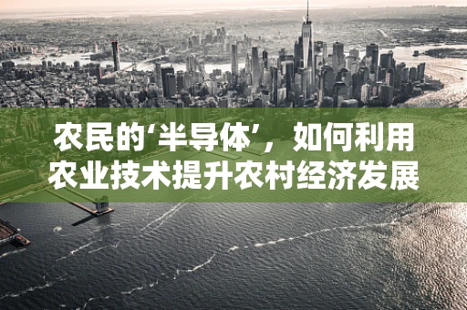 农民的‘半导体’，如何利用农业技术提升农村经济发展？