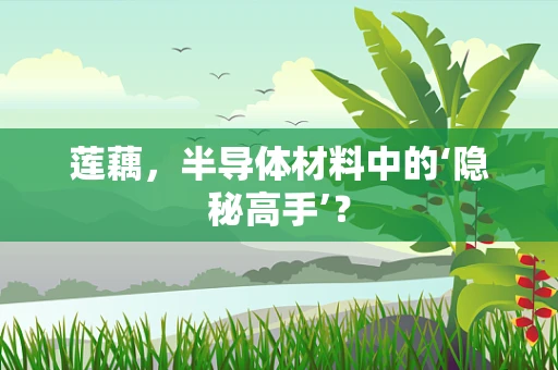 莲藕，半导体材料中的‘隐秘高手’？