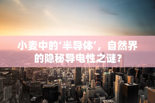 小麦中的‘半导体’，自然界的隐秘导电性之谜？