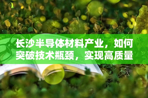长沙半导体材料产业，如何突破技术瓶颈，实现高质量发展？
