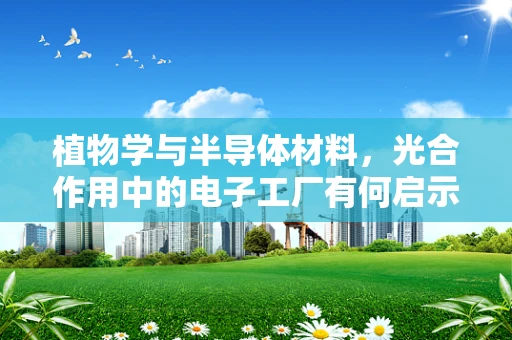 植物学与半导体材料，光合作用中的电子工厂有何启示？