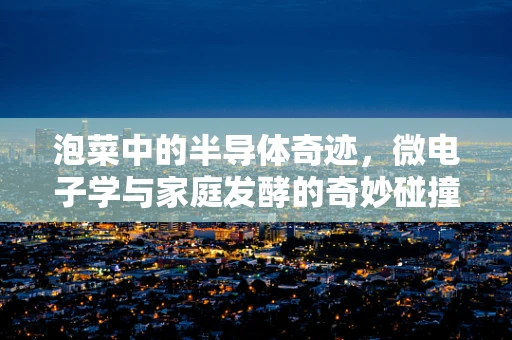 泡菜中的半导体奇迹，微电子学与家庭发酵的奇妙碰撞？