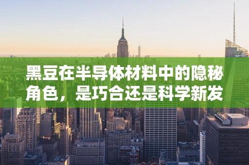 黑豆在半导体材料中的隐秘角色，是巧合还是科学新发现？
