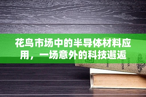 花鸟市场中的半导体材料应用，一场意外的科技邂逅