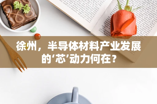 徐州，半导体材料产业发展的‘芯’动力何在？