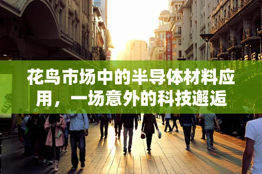 花鸟市场中的半导体材料应用，一场意外的科技邂逅