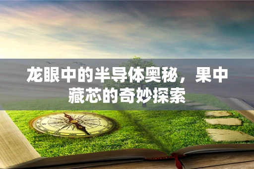 龙眼中的半导体奥秘，果中藏芯的奇妙探索