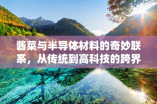 酱菜与半导体材料的奇妙联系，从传统到高科技的跨界探索