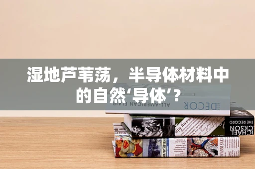 湿地芦苇荡，半导体材料中的自然‘导体’？