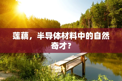 莲藕，半导体材料中的自然奇才？
