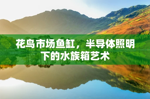 花鸟市场鱼缸，半导体照明下的水族箱艺术