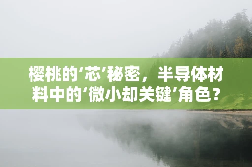 樱桃的‘芯’秘密，半导体材料中的‘微小却关键’角色？