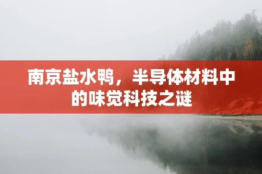 南京盐水鸭，半导体材料中的味觉科技之谜