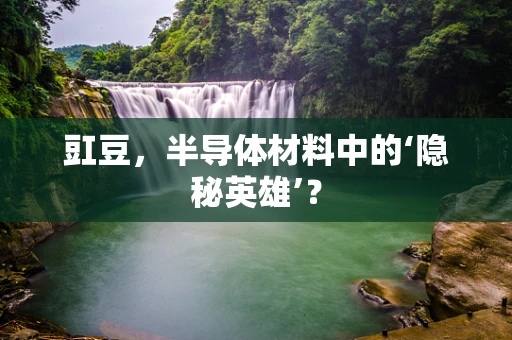 豇豆，半导体材料中的‘隐秘英雄’？