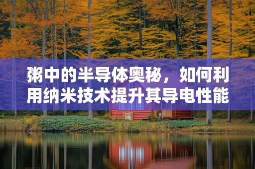 粥中的半导体奥秘，如何利用纳米技术提升其导电性能？