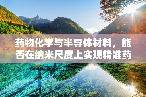 药物化学与半导体材料，能否在纳米尺度上实现精准药物传递？